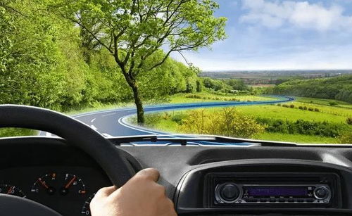 汽车前速多少正常