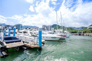 深圳汽车登船价格多少