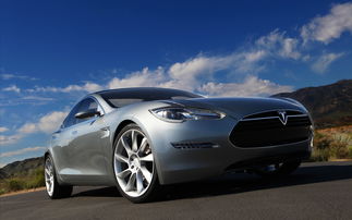 邹城有多少特斯拉汽车