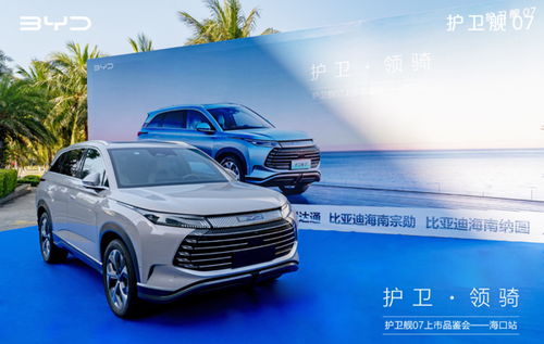 海南比亚迪汽车补贴多少 海南比亚迪汽车补贴多少