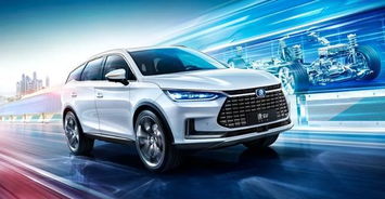 罗平比亚迪汽车排名多少