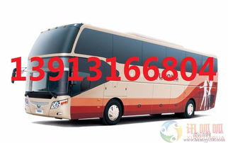 马赛汽车多少钱