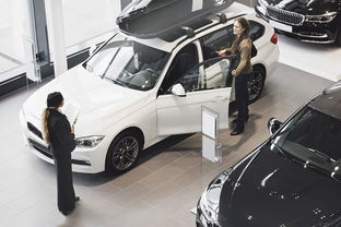 购买汽车分多少期