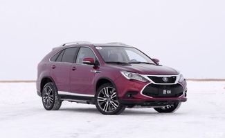 汽车补贴比亚迪多少天