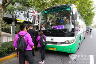 汽车司机每天收入多少