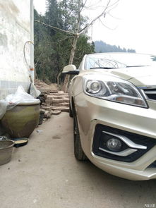 汽车到家多少钱