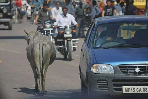 汽车初装汽油有多少
