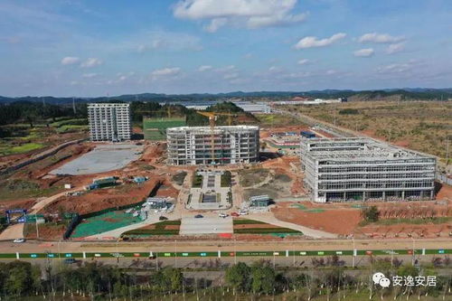 安居汽车学院多少学生