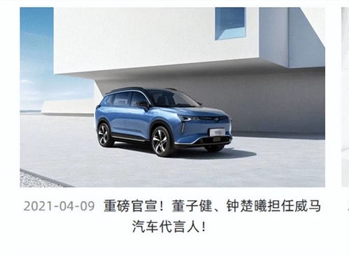 汽车可以装多少酒