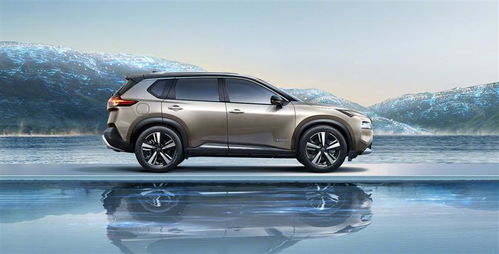 蔚蓝汽车总量多少台