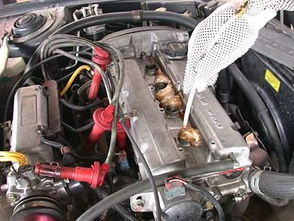 汽车静态清洗费用多少 汽车静态清洗费用多少