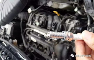 汽车气门盖有多少毫米