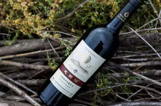 汽车能带多少瓶红酒