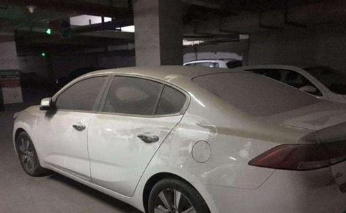 汽车停车每天多少辆