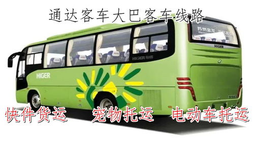 广州到遂溪汽车多少