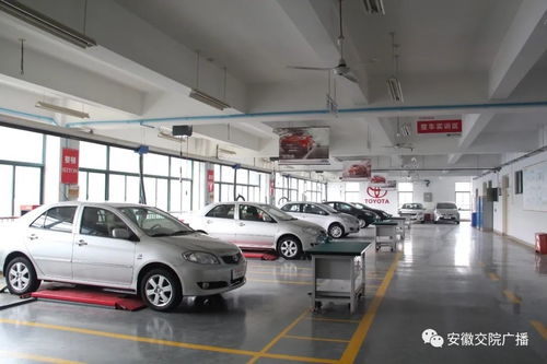 汽车专业高考多少分