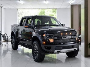 中国有多少猛禽汽车