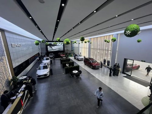 河南汽车有多少台车