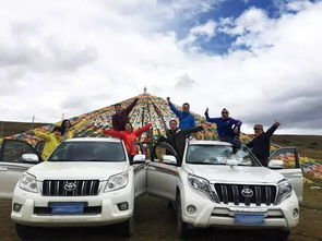 武都汽车多少钱