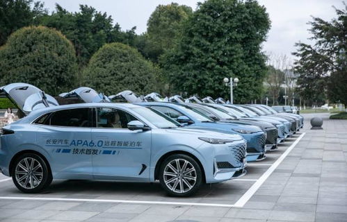 长安汽车电池多少伏 长安汽车电池多少伏