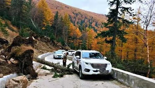 海拔多少会影响汽车