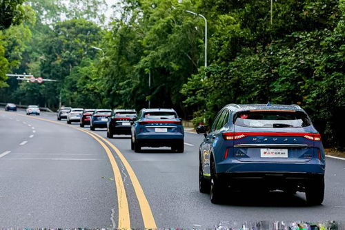 汽车在哪看排量多少