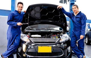 汽车里有多少正常