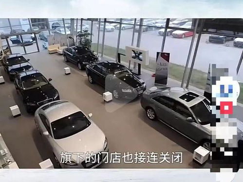 专业汽车导演工资多少