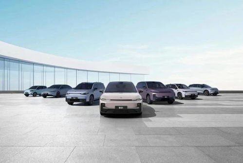 领跑汽车利润有多少