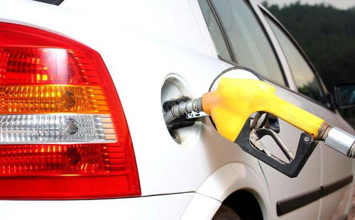 汽车油枪多少钱