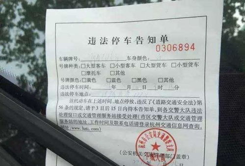 泸州汽车超标罚款多少