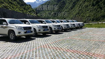 成都汽车稻城多少嘛