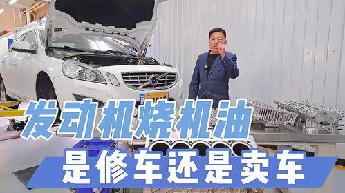 卖汽车机油底薪多少