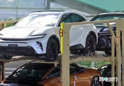 汽车有多少车本