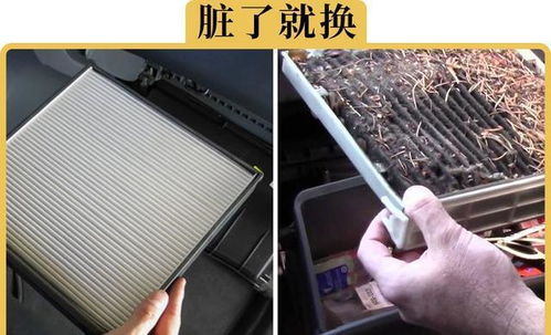 换汽车滤芯多少费用 换汽车滤芯多少费用