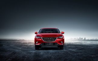 汽车品牌共有多少