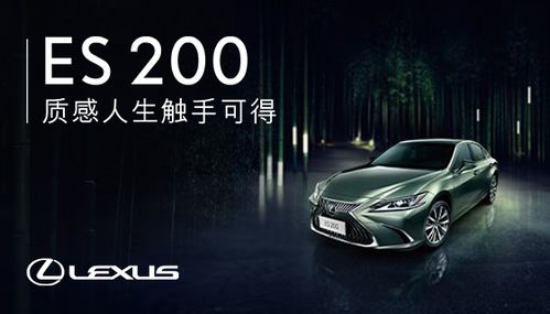 阳江汽车报费价格多少