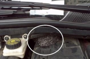 气筒打汽车多少压