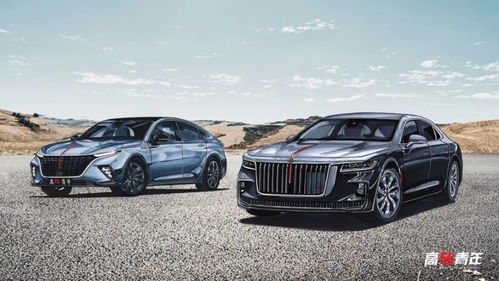 野生汽车多少钱