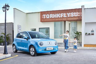 塞尔维亚交汽车税多少