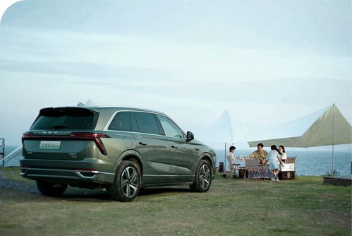 蓝山汽车卖了多少辆