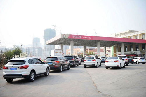 新疆汽车加油涨价多少