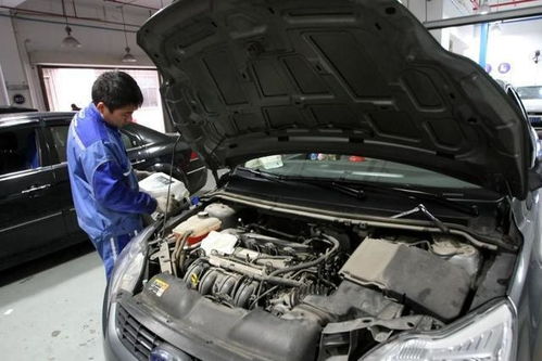 汽车保养花多少元 汽车保养花多少元