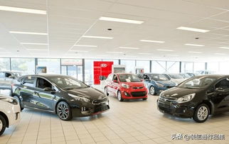 汽车装潢材料需要多少