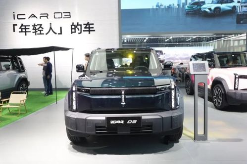 卉卉汽车多少价