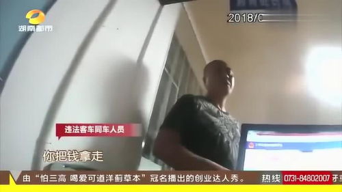 汽车偷运多少钱