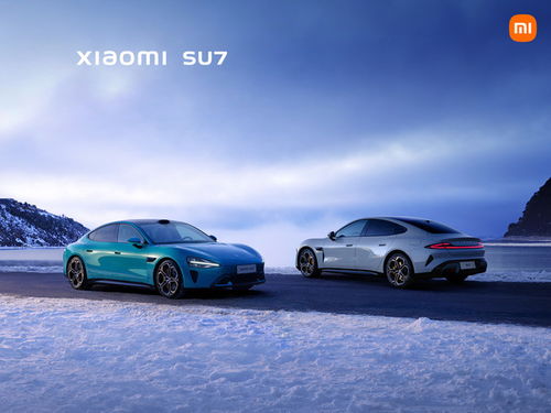 小米汽车多少台预定