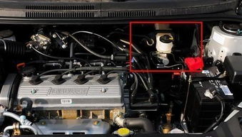 汽车助力油放多少