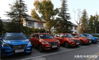 长安汽车亏损是多少 长安汽车亏损是多少