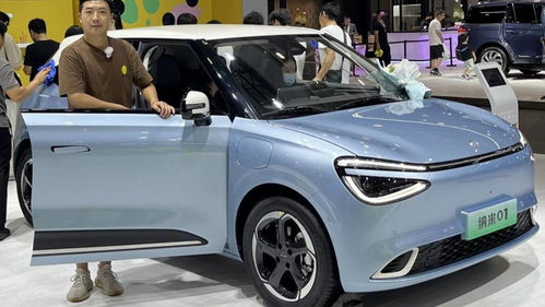 奈米汽车售价多少